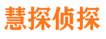 天河市私家侦探